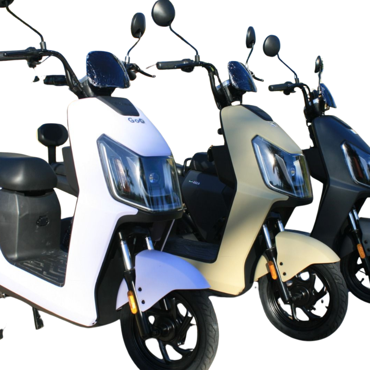 Design sem nome (33)